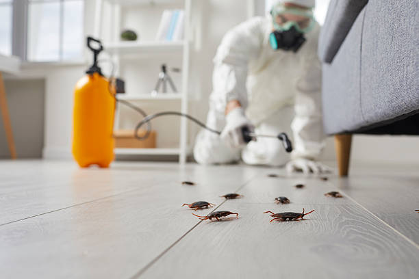Commercial Kitchen Cockroach Control in SeaTac
